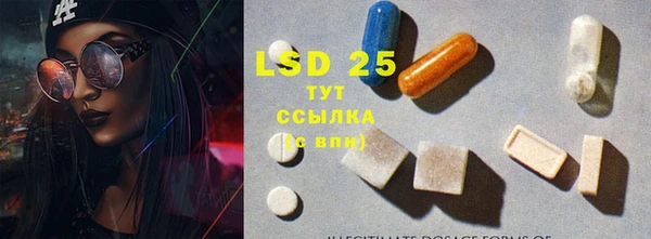 мяу мяу мука Рославль