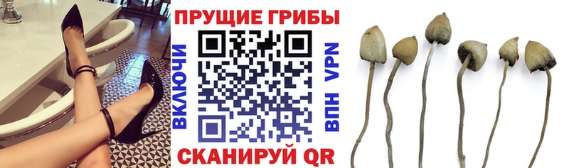 Галлюциногенные грибы MAGIC MUSHROOMS Сергач